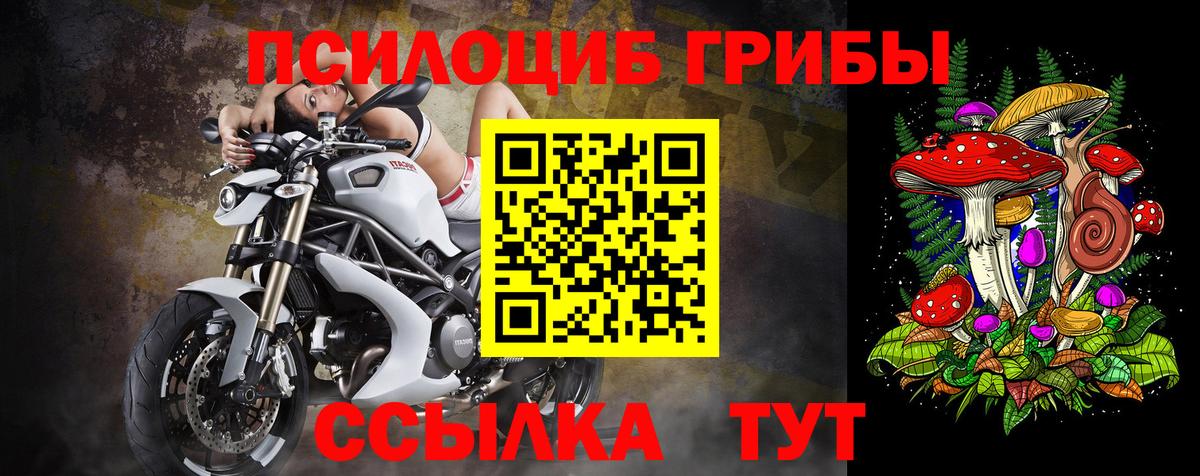 Псилоцибиновые грибы ЛСД  Вход с VPN  Псилоцибиновые грибы мухоморы  Обнинск 