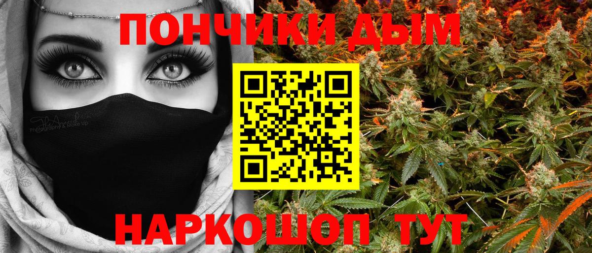 Каннабис индика Обнинск